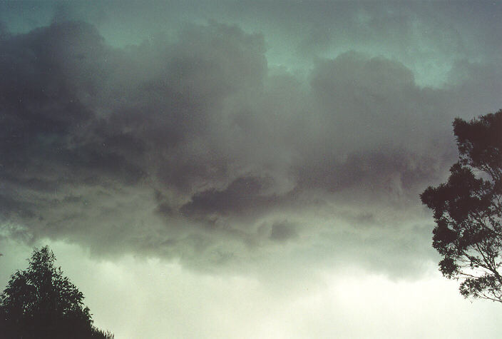 shelfcloud shelf_cloud : Oakhurst, NSW   20 November 1994