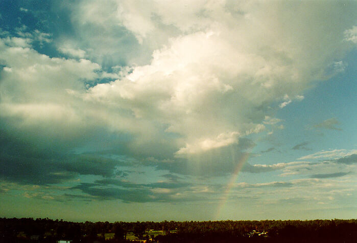 rainbow rainbow_pictures : Schofields, NSW   22 February 1995