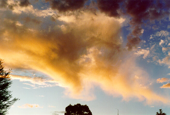 virga virga_pictures : Oakhurst, NSW   16 April 1995