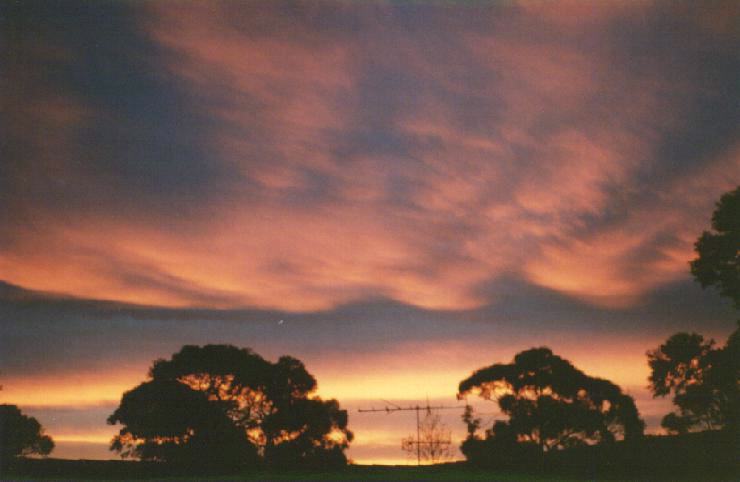 contributions received : Frenchs Forest, NSW<BR>Photo by Brett Wilson   1 June 1995