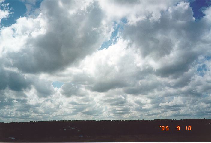 cumulus mediocris : Schofields, NSW   10 September 1995