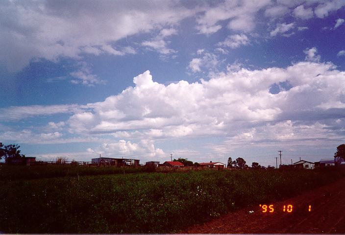 cumulus mediocris : Schofields, NSW   1 October 1995