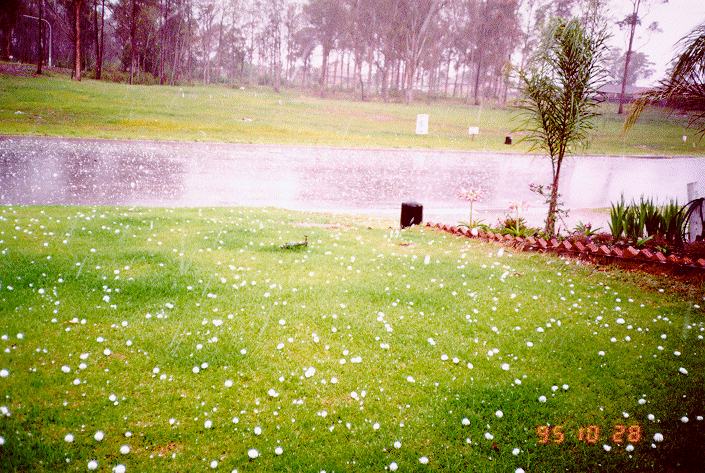 contributions received : Bonnyrigg, NSW<BR>Photo by Bert Garcia   28 October 1995