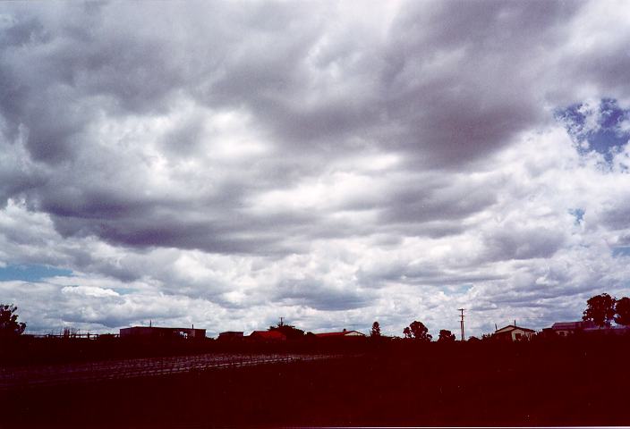 cumulus mediocris : Schofields, NSW   5 November 1995