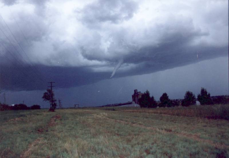 contributions received : Merriwa, NSW<BR>Photo by Mike Hadfield   5 November 1995