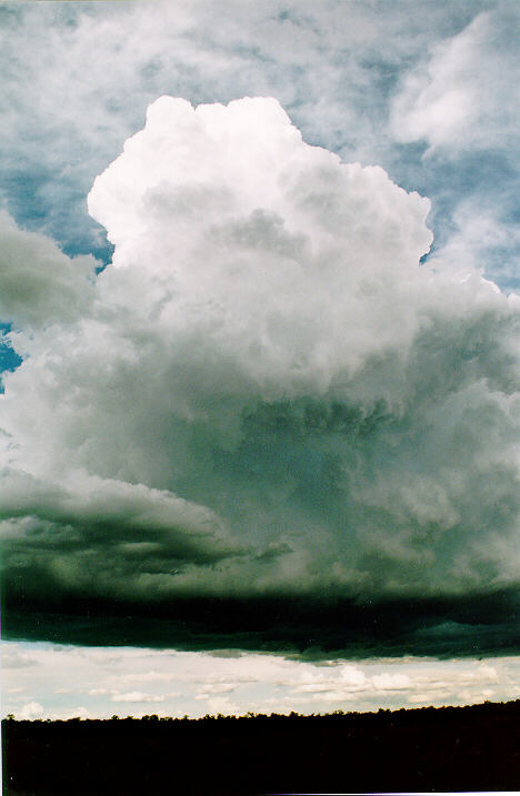 thunderstorm cumulonimbus_calvus : Castlereagh, NSW   18 November 1995