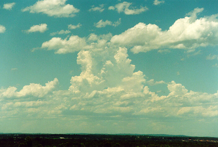 cumulus congestus : Rooty Hill, NSW   18 December 1995