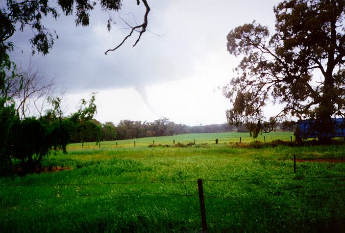 contributions received : Bearbung, NSW<BR>Photo by Chris Cooke   29 September 1996