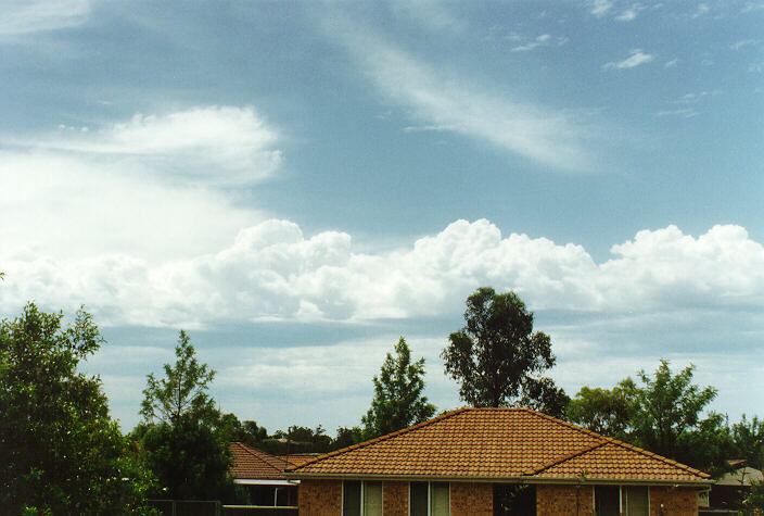 cumulus mediocris : Oakhurst, NSW   17 November 1996