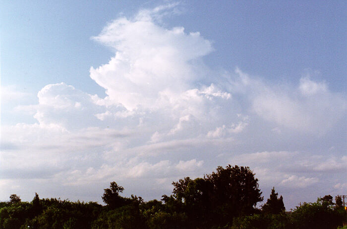 thunderstorm cumulonimbus_calvus : Freemans Reach, NSW   4 December 1996