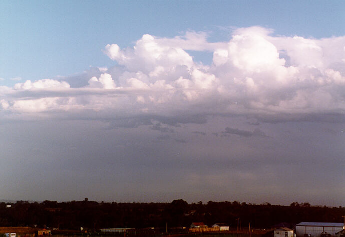 altocumulus altocumulus_cloud : Schofields, NSW   23 December 1996