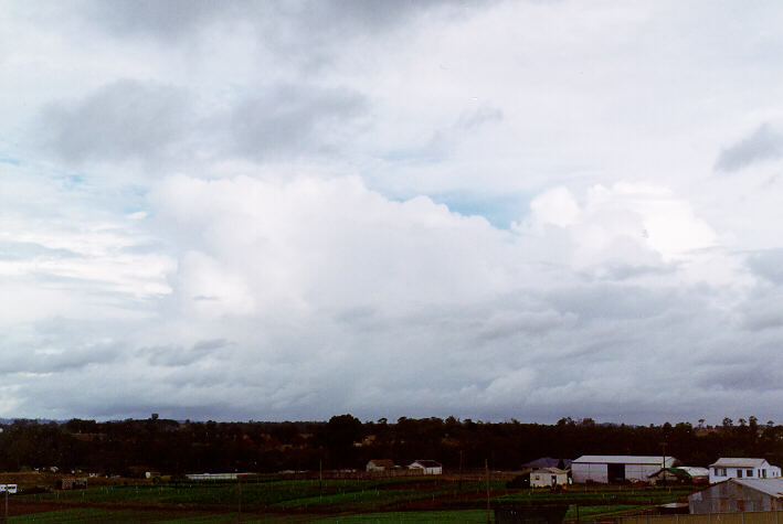 thunderstorm cumulonimbus_calvus : Schofields, NSW   26 January 1997