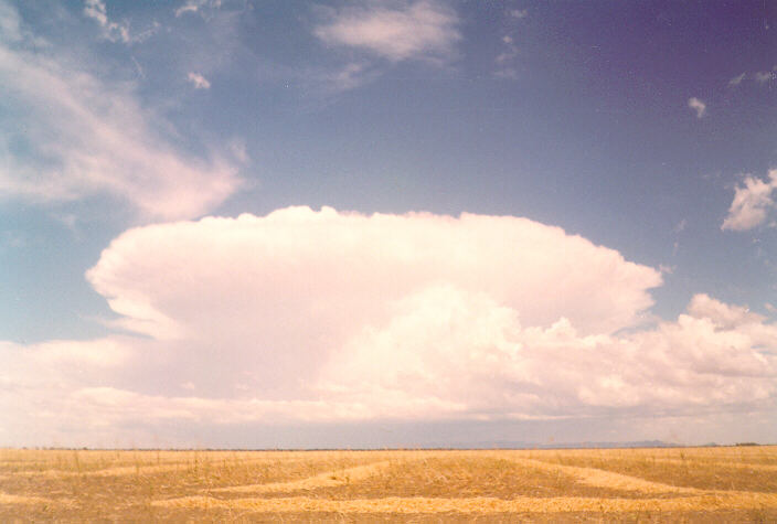 contributions received : Murtoa, VIC<BR>Photo by Paul Yole   27 January 1997