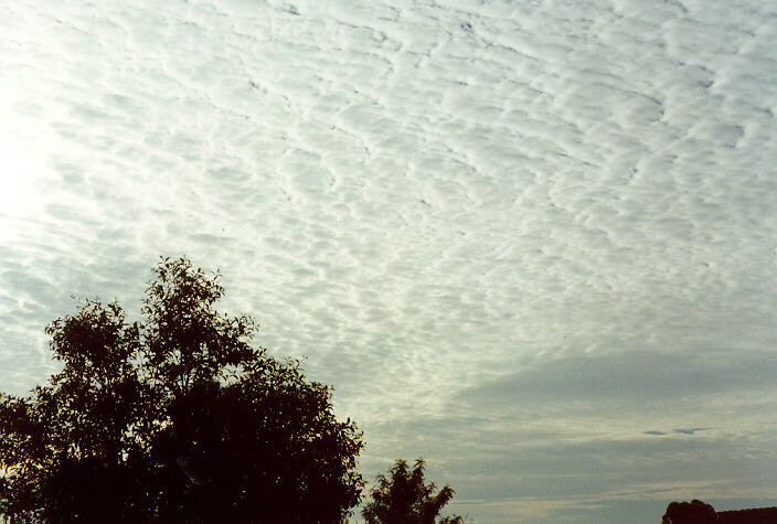 altocumulus altocumulus_cloud : Oakhurst, NSW   26 February 1997