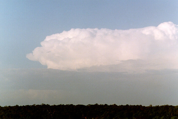 stratocumulus stratocumulus_cloud : Schofields, NSW   28 March 1997