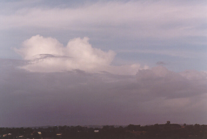 thunderstorm cumulonimbus_calvus : Schofields, NSW   29 June 1997