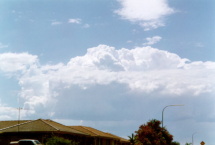 thunderstorm cumulonimbus_calvus : Oakhurst, NSW   27 October 1997