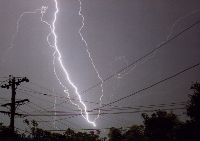 contributions received : Brisbane, QLD<BR>Photo by Daryl Falla   5 November 1997