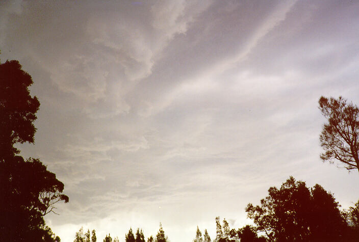 contributions received : Shortland, NSW<BR>Photo by Mark Talbot   28 November 1997