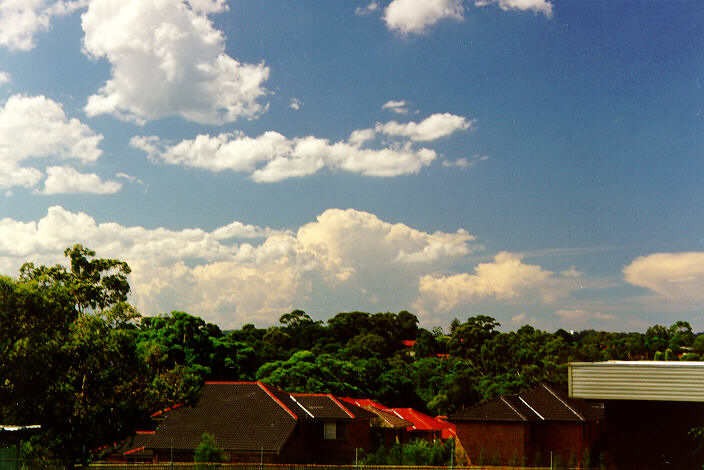 contributions received : North Ryde, NSW<BR>Photo by Paul Graham   12 February 1998