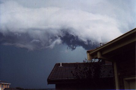 contributions received : Lake Illawarra, NSW<BR>Photo by Andrew Godsman   15 February 1998