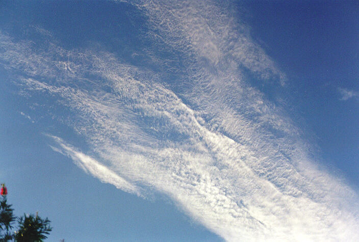 cirrocumulus cirrocumulus_cloud : Oakhurst, NSW   16 February 1998