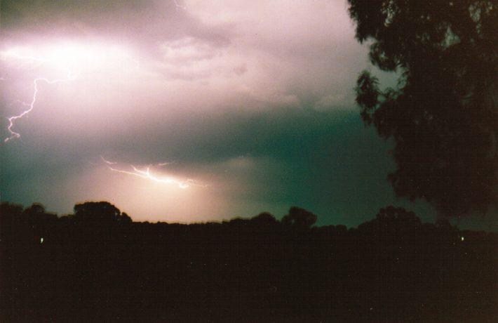 contributions received : Murtoa, VIC<BR>Photo by Paul Yole   1 October 1998