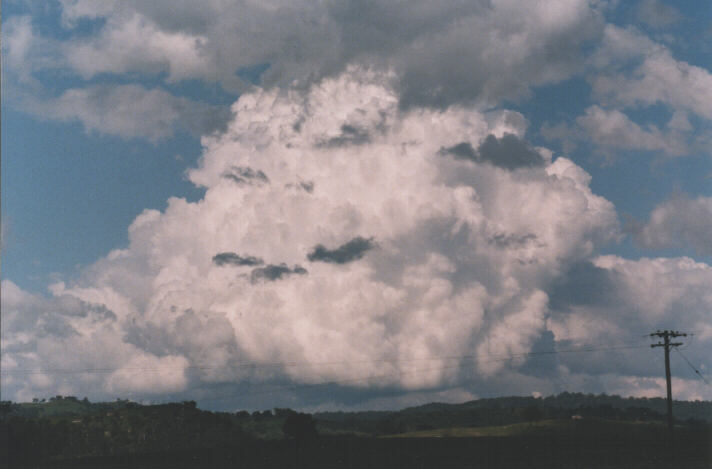 thunderstorm cumulonimbus_calvus : Scone area, NSW   4 October 1998