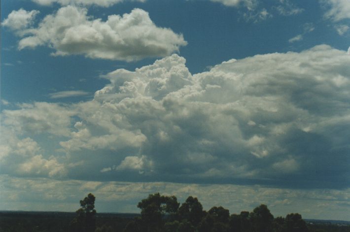 thunderstorm cumulonimbus_calvus : Rooty Hill, NSW   26 October 1998
