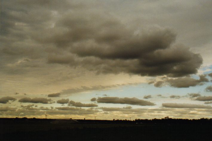 cumulus humilis : North Richmond, NSW   24 November 1998