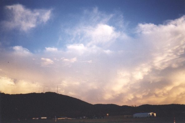 contributions received : Boronia, VIC<BR>Photo by David Jeffrey   24 December 1998