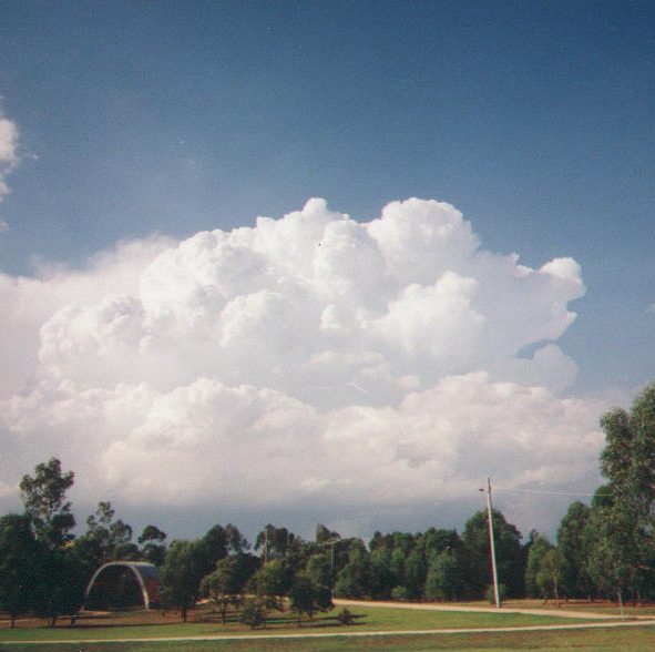 contributions received : Melbourne, VIC<BR>Photo by Adam North   1 January 1999