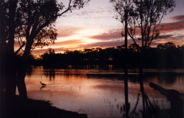 contributions received : Murray River<BR>Photo by Robert Middelmann   1 January 1999
