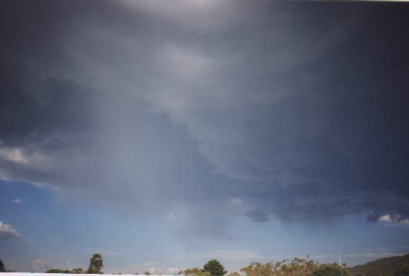 contributions received : Boronia, VIC<BR>Photo by David Jeffrey   2 January 1999