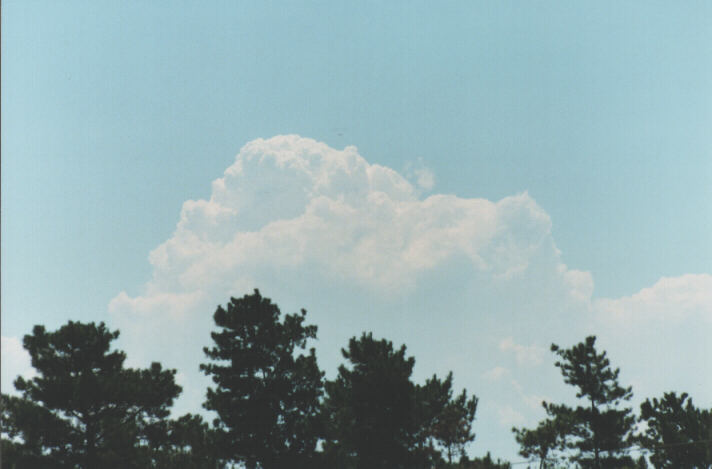 thunderstorm cumulonimbus_calvus : Kemps Creek, NSW   19 January 1999