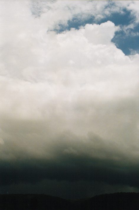 thunderstorm cumulonimbus_calvus : Castlereagh, NSW   23 January 1999