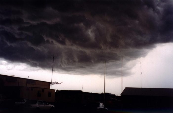 contributions received : Rutherford, NSW<BR>Photo by Nick Wills   29 January 1999