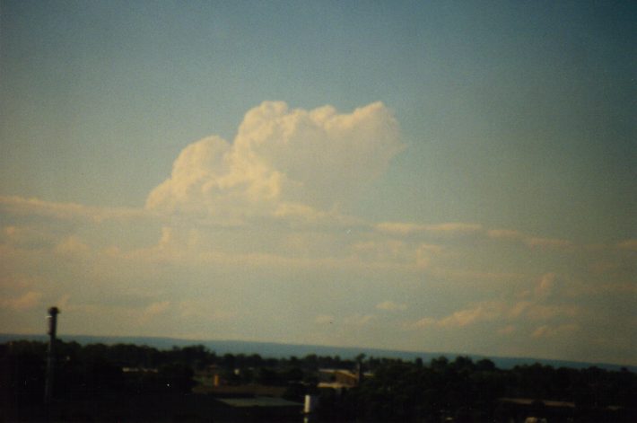 thunderstorm cumulonimbus_calvus : Rooty Hill, NSW   3 March 1999