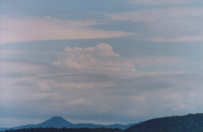 thunderstorm cumulonimbus_calvus : Scone, NSW   7 March 1999
