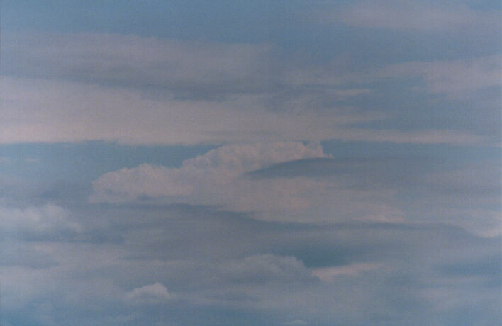 thunderstorm cumulonimbus_calvus : Scone, NSW   7 March 1999