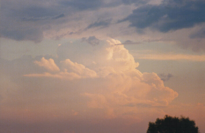 thunderstorm cumulonimbus_calvus : Riverstone, NSW   12 March 1999