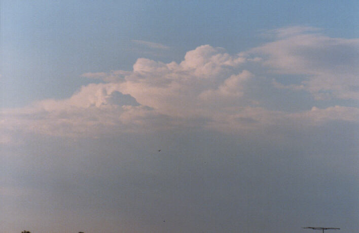 thunderstorm cumulonimbus_calvus : Schofields, NSW   13 March 1999