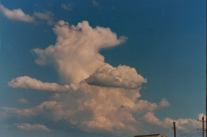 thunderstorm cumulonimbus_calvus : Schofields, NSW   14 March 1999