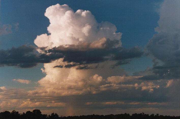 updraft thunderstorm_updrafts : Schofields, NSW   14 March 1999