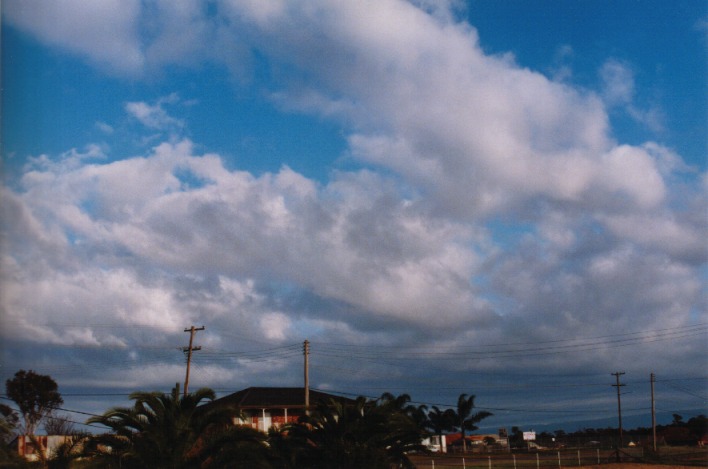 cumulus mediocris : Schofields, NSW   21 August 1999