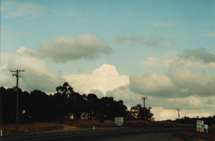 thunderstorm cumulonimbus_calvus : Moonbi Hill, NSW   26 September 1999