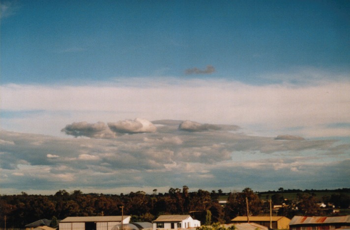 stratocumulus stratocumulus_cloud : Schofields, NSW   25 October 1999