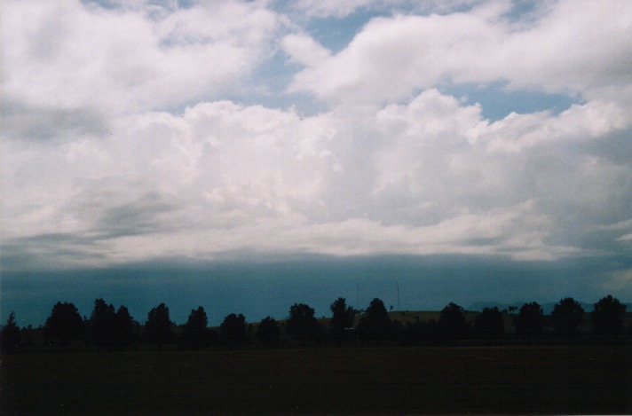 thunderstorm cumulonimbus_calvus : Brankxton, NSW   31 October 1999