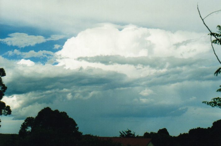 stratocumulus stratocumulus_cloud : Wollongbar, NSW   7 November 1999