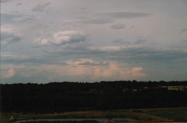 thunderstorm cumulonimbus_calvus : Schofields, NSW   15 November 1999